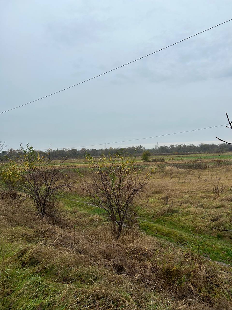 Земельна ділянка в с. Черніів загальною площею 2.2га.