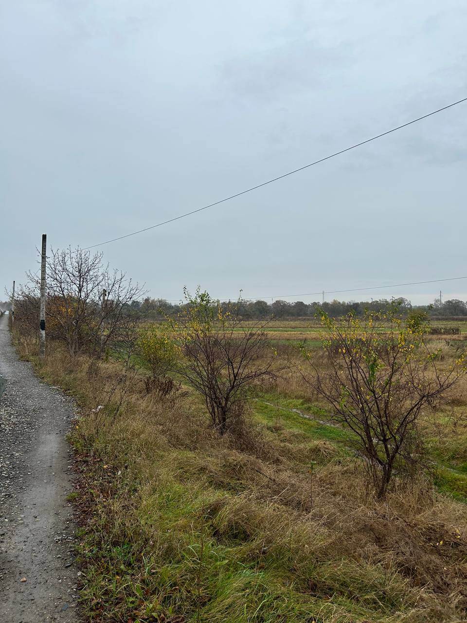 Земельна ділянка в с. Черніів загальною площею 2.2га.