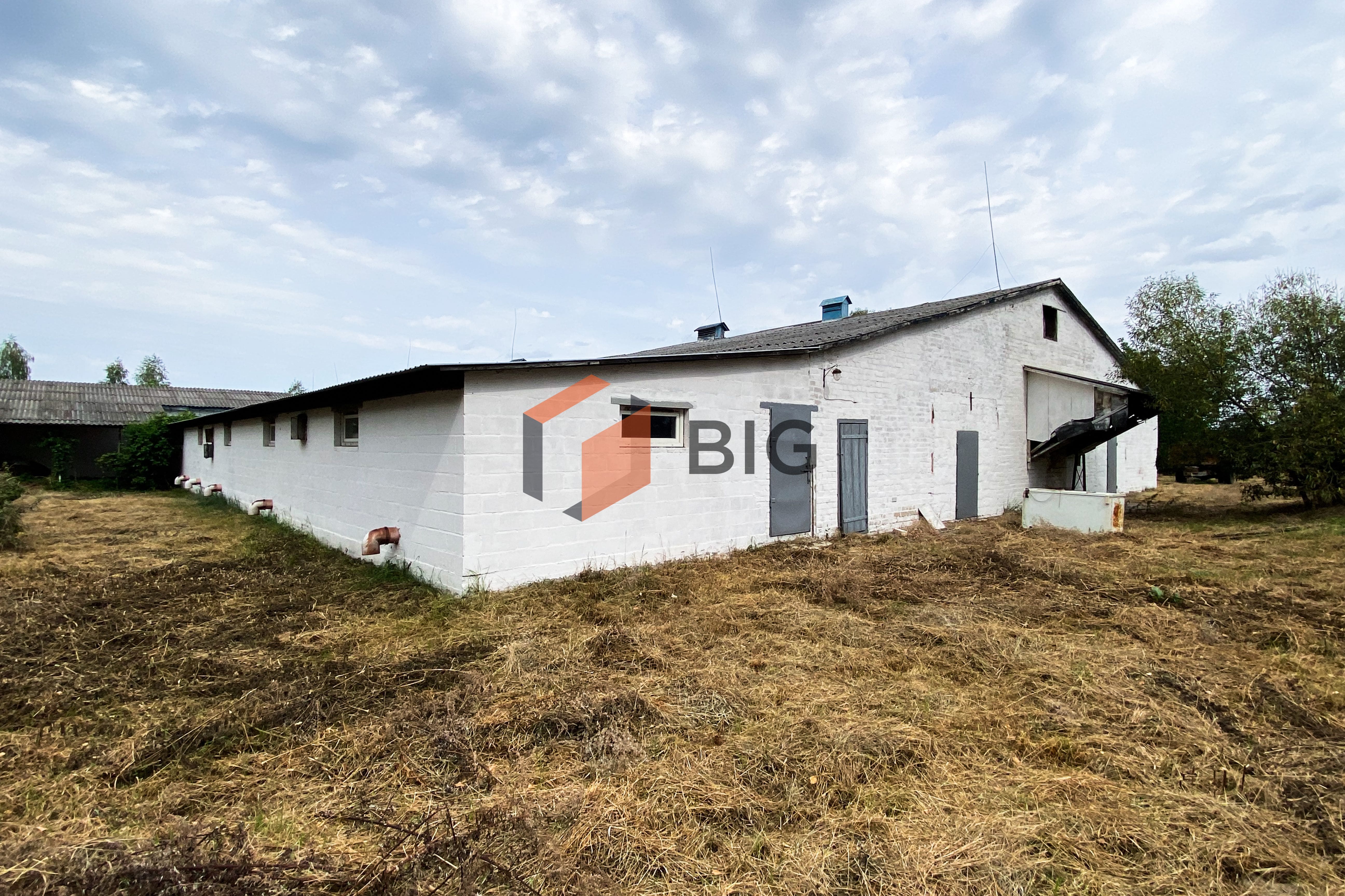Пропонується до продажу цегляна будівля з повною інфраструктурою для ведення товарного сільськогосподарського виробництва в с. Рудня